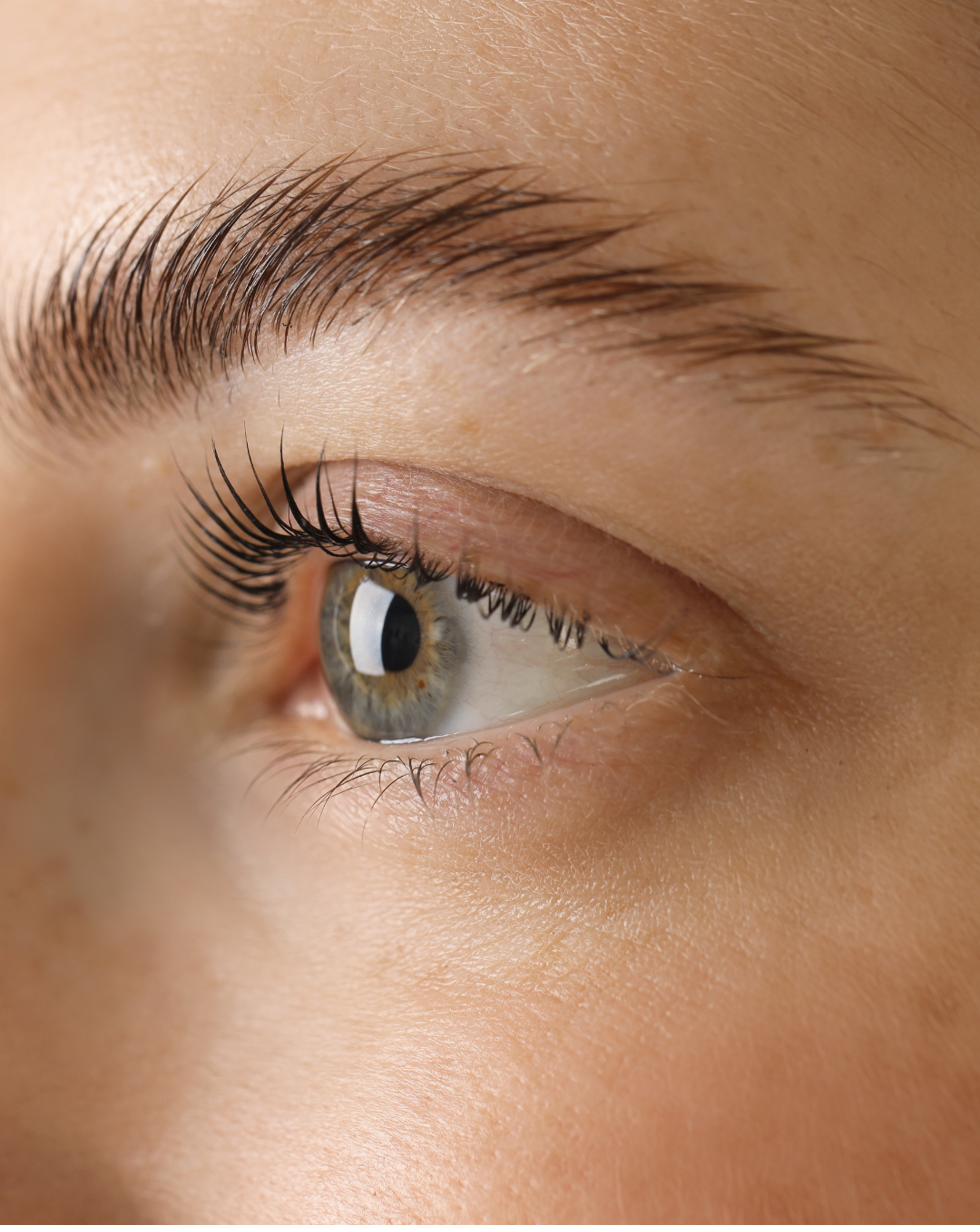 A softly laminated, natural brow in close up
