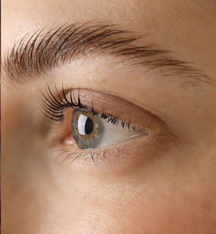 Close detail of natural lashes and a groomed brow